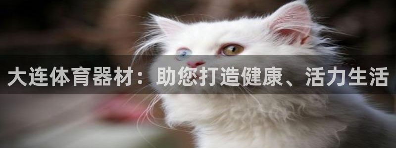 富联平台娱乐：大连体育器材：助您打造健康、活力生活