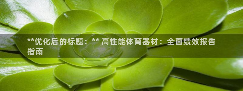 富联娱乐测速登录：**优化后的标题：** 高性能体育