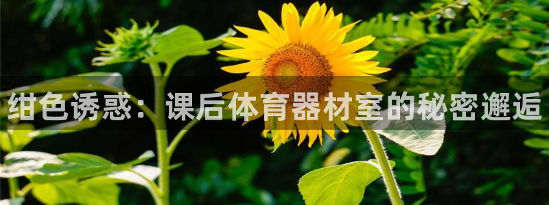 富联平台微信怎么注销：绀色诱惑：课后体育器材室的秘密