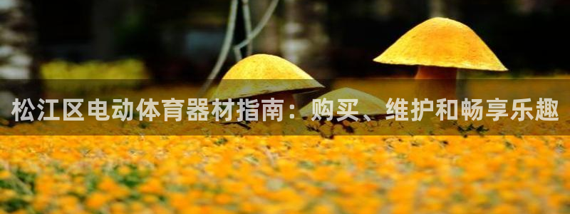 富联平台加认 58.53.4I：松江区电动体育器材指