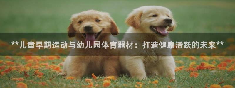 富联娱乐股东构成：**儿童早期运动与幼儿园体育器材：