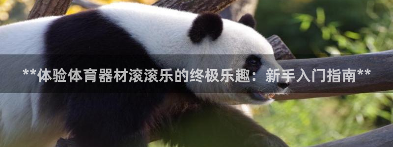富联平台登录网址是什么：**体验体育器材滚滚乐的终极