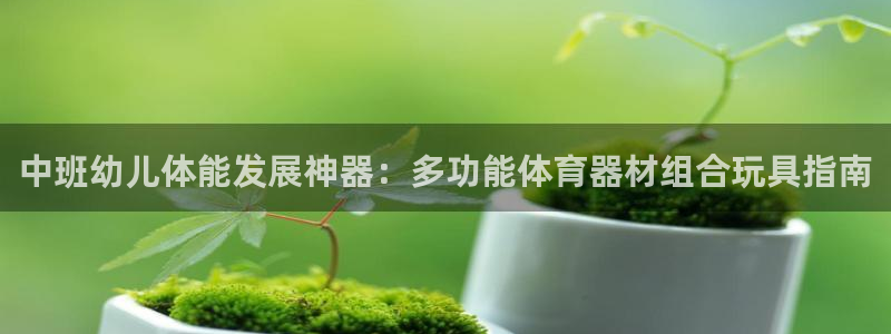 富联芯科技：中班幼儿体能发展神器：多功能体育器材组合