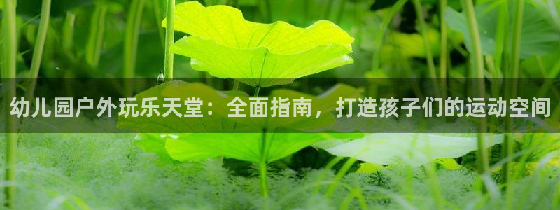 富联官方网站首页入口网址：幼儿园户外玩乐天堂：全面指南，打造