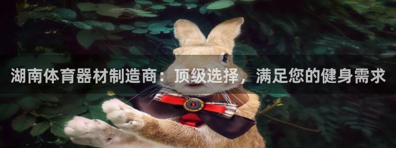 富联平台联 5O6917 富联：湖南体育器材制造商：顶级选择