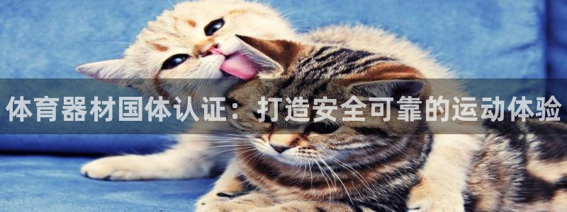 富联娱乐在线注册链接是什么软件：体育器材国体认证：打造安全可