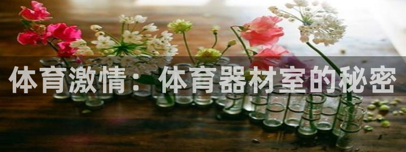 富联通讯简介：体育激情：体育器材室的秘密