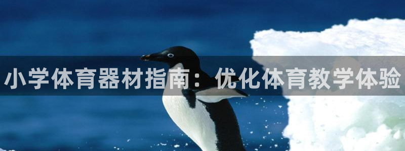 富联娱乐靠 58534I 富联：小学体育器材指南：优