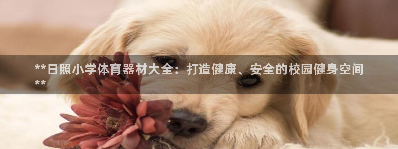 富联官方网站入口查询：**日照小学体育器材大全：打造
