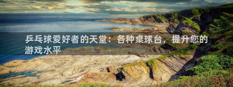 富联平台代理注册要钱吗：乒乓球爱好者的天堂：各种桌球