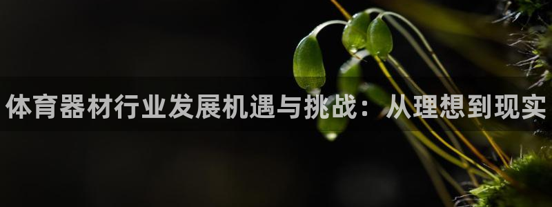 富联智能工坊：体育器材行业发展机遇与挑战：从理想到现