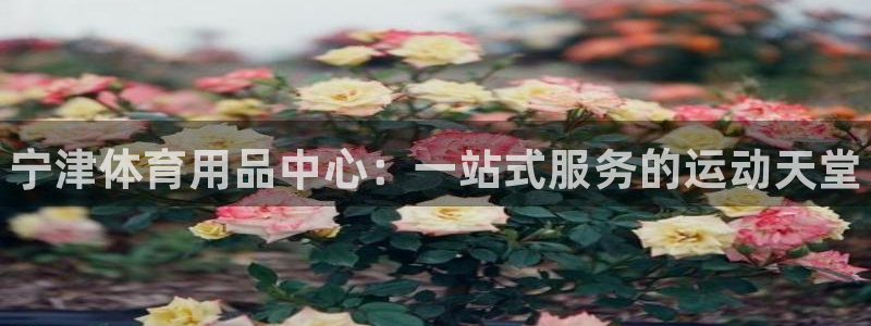 富联平台界7O777：宁津体育用品中心：一站式服务的运动天堂