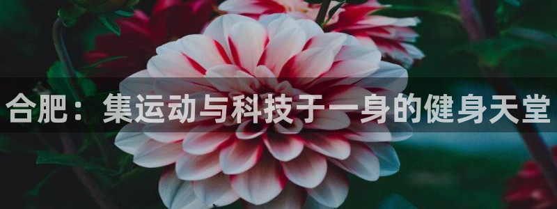 富联平台巴7O777：合肥：集运动与科技于一身的健身天堂